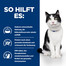 HILL'S rescription Diet Feline i/d 8 kg Futter für Katze mit Verdauungsproblemen