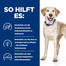 HILL'S Prescription Diet Canine d/d Duck&Rice 1,5 kg Futter zur Stärkung der Hundehaut
