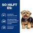 HILL'S Prescription Diet Canine l/d 4 kg Futter für Hunde mit Lebererkrankungen
