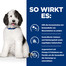 HILL'S Prescription Diet Canine c/d Multicare 1,5 kg Futter für Hunde mit Harnwegserkrankungen