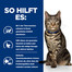 HILL'S Prescription Diet Feline Metabolic mit Huhn 3 kg