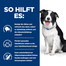 HILL'S Prescription Diet Canine t/d 4 kg Futter zur Förderung der Zahngesundheit Ihres Hundes