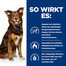 HILL'S Prescription Diet Canine Metabolic 370g Futter für übergewichtige Hunde