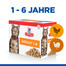 HILL'S Science Plan Feline Adult Multipack Poultry Selection 85 g x12
