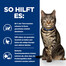 HILL'S Prescription Diet Feline Metabolic 85 g