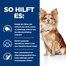 HILL'S Prescription Diet t/d Canine Mini 3 kg