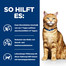 Hill's PRESCRIPTION DIET c/d Multicare Katzenfutter mit Huhn 156 g