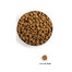 ACANA Puppy large breed 17 kg