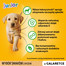 PEDIGREE Vital Protection Portionsbeutel Multipack Junior mit 4 Varietäten in Gelee 48 x 100g
