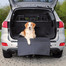 TRIXIE Kofferraum-Schondecke für Hund schwarz 1.64x1.25 m