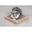 CARTON+ PETS Katzenkratzbaum aus Pappe Tom