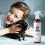 PETS Home Mist Perfume Citrus 250 ml Raumspray Geruchsneutralisator Citrus