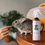 PETS Home Mist Perfume Sea Breeze 250 ml Geruchsneutralisierender Nebel für Innenräume