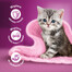 WHISKAS Junior 48x85g Geflügel-Gelee-Nassfutter für Kätzchen mit: Huhn, Pute, Geflügel, Ente