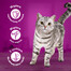 WHISKAS Adult 52x85 g Geflügelschmaus Nassfutter für ausgewachsene Katzen in Sauce mit: Huhn, Truthahn