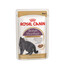 ROYAL CANIN British Shorthair Gravy 48x85 g