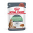 ROYAL CANIN Digestive Care Nassfutter in Soße für ausgewachsene Katzen mit empfindlichem Verdauungstrakt 12x85g