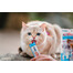 INABA Churu Cat cremiges Thunfisch-Katzenleckerli 4x14g