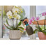 GARDENA Pumpsprüher 0,75 l