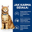 HILL'S Prescription Diet Feline C/D Multicare Urinary care mit Lachs 12x85g in Tütchen