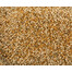 TETRA Pond Variety Sticks 1L