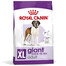 ROYAL CANIN GIANT Adult Trockenfutter für sehr große Hunde 15 kg + 3 kg gratis
