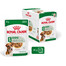 ROYAL CANIN Mini adult 12x85 g