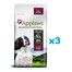 APPLAWS Adult Dog Small Medium Chicken with Lamb 6 kg (3x2 kg) Huhn mit Lamm für erwachsene Hunde kleiner und mittlerer Rassen