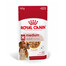 ROYAL CANIN Medium adult 40x140 g