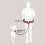 TRIXIE Bauchgurt mit Hundeleine 60-120 cm