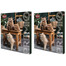 TRIXIE Adventskalender für Katzen  x 2