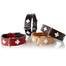 HUNTER Schweizer Leder Hundehalsband XS (32) 24-28,5/2,6 cm beige