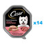 CESAR Schale 14x 150 g : Nassvollnahrung für ausgewachsene Hunde: Terrine mit zartem Kalbfleisch und Geflügel