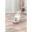 TRIXIE Cat Activity Hide'n'Sniff Bowl pädagogisches Katzenspielzeug 18 cm