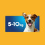 PEDIGREE DentaStix Daily Fresh: Leckerlis mit Hühnergeschmack für kleine Rassen 4x110g