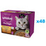 WHISKAS Adult 48x85g Beutel Drobiowe Frykasy Katzennassfutter in Gelee mit: Huhn, Pute, Geflügel, Ente