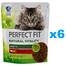 PERFECT FIT Natural Vitality 1+ Trockenfutter mit Rind und Huhn 6x650 g