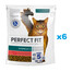 PERFECT FIT Sterile 1+ 6x750 g mit Rind