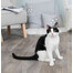 TRIXIE Catnip Seifenblasen mit Katzenminze 120 ml