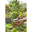 GARDENA VeggieCut Kräuter- und Gemüseschneider