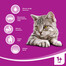 WHISKAS Sterile 1.4 kg: Trockenfutter mit Huhn für Katzen nach der Sterilisation