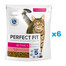 PERFECT FIT (Active 1+) 6x750g Reich an Rindfleisch – Trockenfutter für Katzen