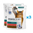 PERFECT FIT (Sterile 1+) 6x750g Reich an Rindfleisch – Trockenfutter für Katzen nach der Sterilisation