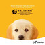 PEDIGREE mit Huhn in Gelee 400 g