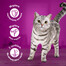 WHISKAS Adult 85g: Nassfutter für adulte Katzen mit Rindfleisch in Sauce