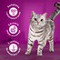 WHISKAS Adult 12x85g: Nassfutter für adulte Katzen mit Huhn, Pute, Geflügel und Ente in Gelee