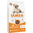 IAMS for Vitality Senior für ältere Hunde großer Rassen mit frischem Huhn 3 kg