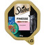 SHEBA Finesse 85 g: Nassvollnahrung für adulte Katzen mit Lachs in Mousse
