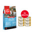 ORIJEN 6 Fish Cat 5.4 kg + APPLAWS Cat Adult Mousse Chicken 6 x 70g GRATIS