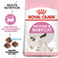ROYAL CANIN Mother&Babycat Trockenfutter für trächtige und säugende Katzen und Kätzchen im Alter von 1 bis 4 Monaten 12x400 g
